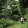 Hinterland Jungle Backlot