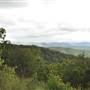 John Shepherd Lookout