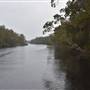 Harrys Hut Area (Noosa Everglades)