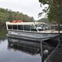 Harrys Hut Area (Noosa Everglades)