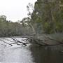 The Narrows (Noosa Everglades)