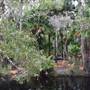 The Narrows (Noosa Everglades)