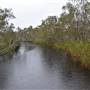 Lake Como (Noosa Everglades)