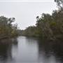 Lake Como (Noosa Everglades)