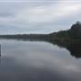 Fig Tree Point (Noosa Everglades)