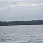 Lake Cootharaba (Noosa Everglades)