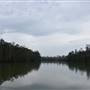 Johns Landing (Noosa Everglades)