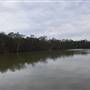 Johns Landing (Noosa Everglades)