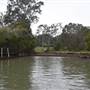 Noosa Everglades - Makepeace Island