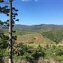 Castle Mountain Acreage