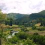 Bunya Mountains