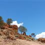 Baldy Top Lookout - Quilpie