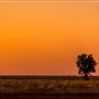 Boulia