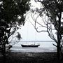 Karragarra Island