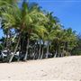 Palm Cove - Beach / Coastline