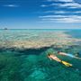 Great Barrier Reef - Lady Musgrave Island - Wallaginji