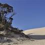 Mulgumpin (Moreton Island) - Big Sand Hills