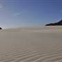 Mulgumpin (Moreton Island) - Big Sand Hills
