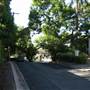 Teneriffe - suburb overview (expanded)