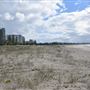 Kirra Beach - Streets & Beach
