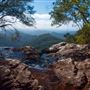 Goomoolahra Falls - Springbrook NP