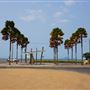 Cardwell - Coastline & Jetty