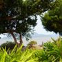Cardwell - Coastline & Jetty