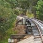 Herberton - Township