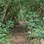 Hallorans Hill Conservation Park