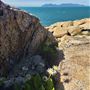 Cape Edgecumbe