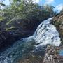 McKenzie Falls