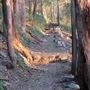 Mount Gravatt Outlook Reserve - Summit Track