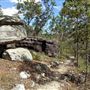 Karawatha Forest Park - Overview