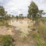 Willowbank MX