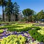Toowoomba - Streetscape / Overview