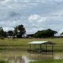 Dumbarton Cattle Station