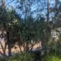 Jack Gordon Pathway