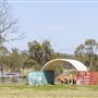 Summer Land Camel Farm