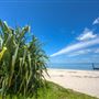 Bribie Island - Bongaree Beach
