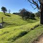 Back Creek Farm