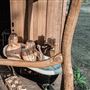 Mango Lodge