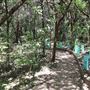 Third Bay Coolum