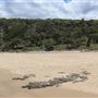 Third Bay Coolum