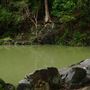 Currumbin Rock Pools