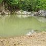 Currumbin Rock Pools