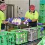 Mungalli Creek Bio-Dynamic Dairy