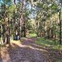 Hayes Property