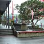 Chinatown