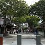Ann Street - Fortitude Valley