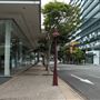 Ann Street - Fortitude Valley